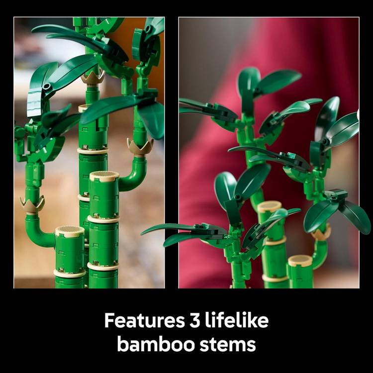 LEGO Botanicals Lucky Bamboo set 29cm tall, imported from the UK
