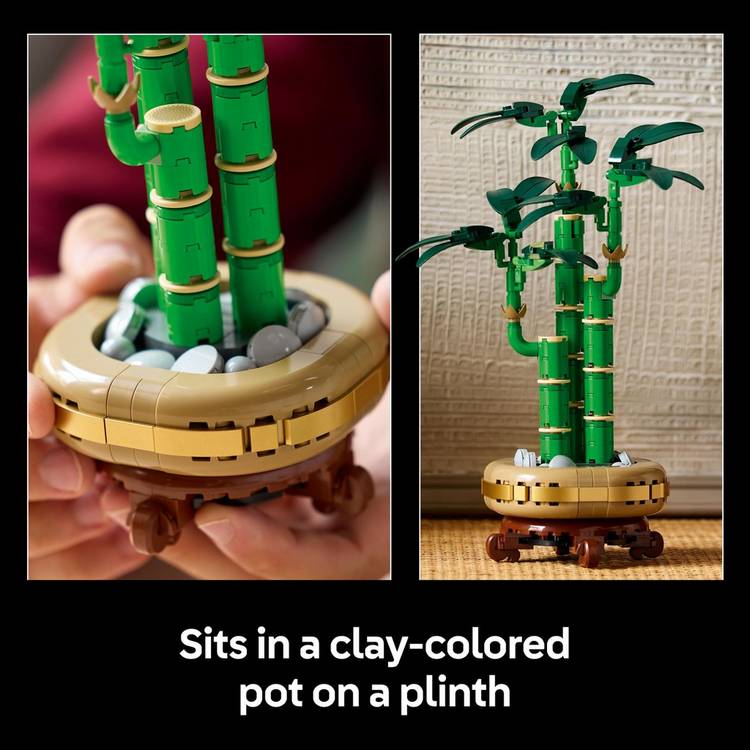LEGO Botanicals Lucky Bamboo set 29cm tall, imported from the UK