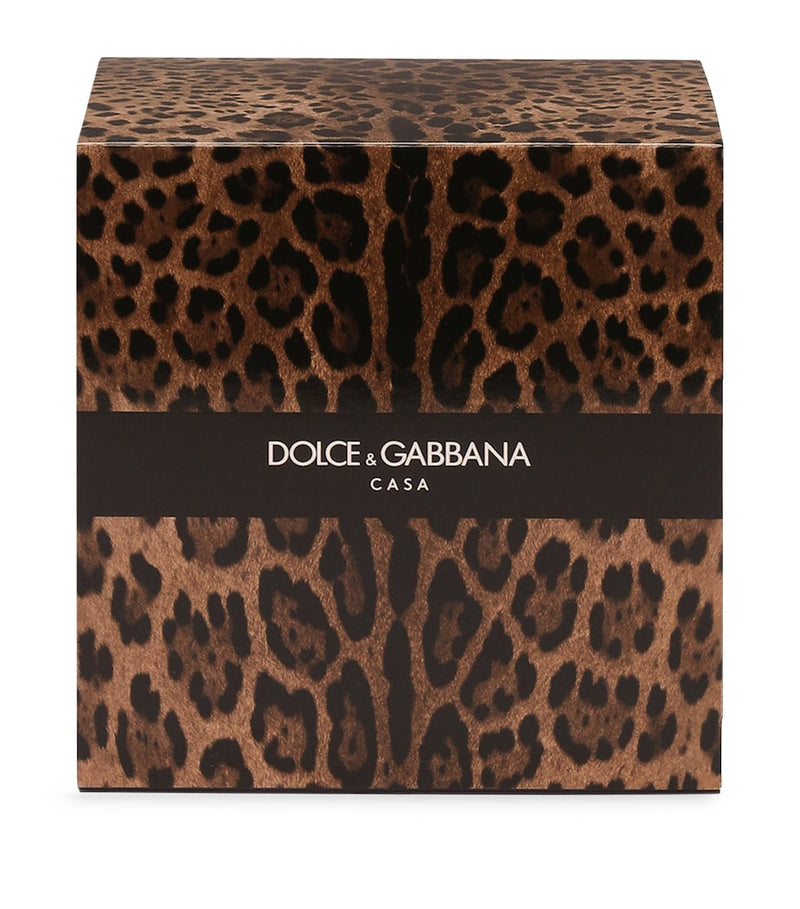 Dolce&Gabbana Casa Leopardo Patchouli Candle 380g - British product