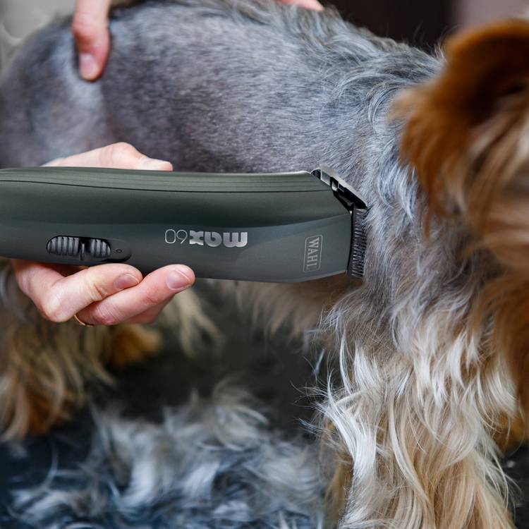 Wahl Max 60 dog clipper kit - British product