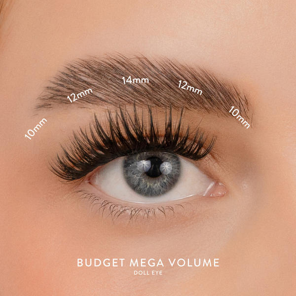 House of Amor Mega Volume lashes 50 pack, UK version