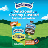 Ambrosia chocolate custard pouch 100g, imported from the UK