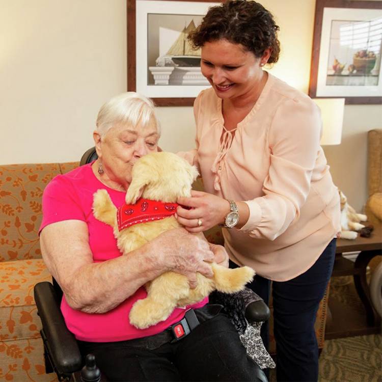 Joy For All golden robotic companion dog (British brand)