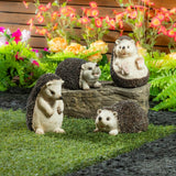 Evergreen hedgehog family statues polystone, imported from the UK