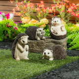 Costco UK Evergreen Hedgehog Family Garden Statues- Buy online at McGrocer