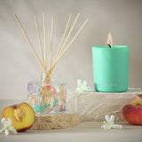 Argos Habitat Star Jasmine and Peach Reed Diffuser Set 12.5ml- Buy online at McGrocer