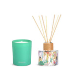 Habitat reed diffuser set star jasmine peach 12.5ml, imported from the UK