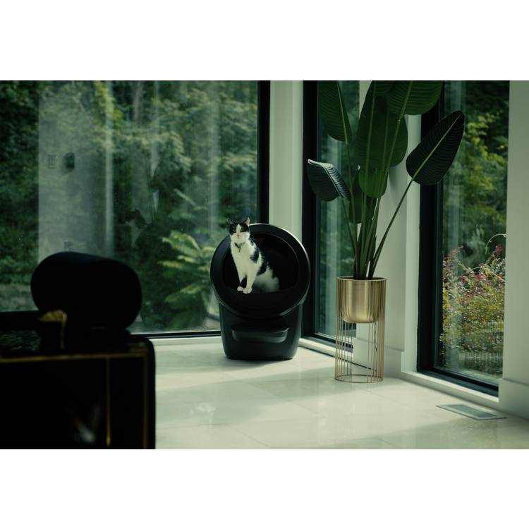 Litter-Robot 4 black automatic cat litter box, UK version