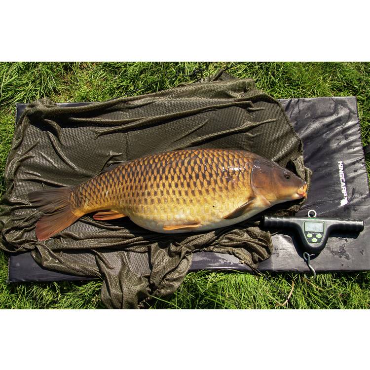 Kingcarp weigh sling 85x48cm - British product