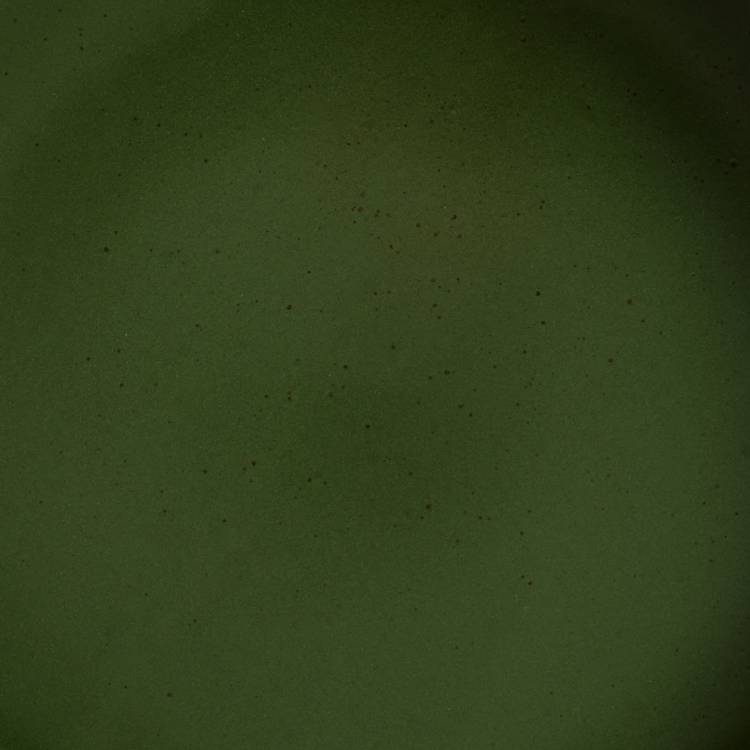 Habitat green stoneware pasta bowls set of 4, imported from the UK