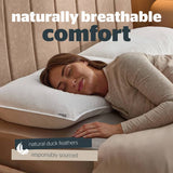 Silentnight duck feather pillows medium soft 2 pack, UK version