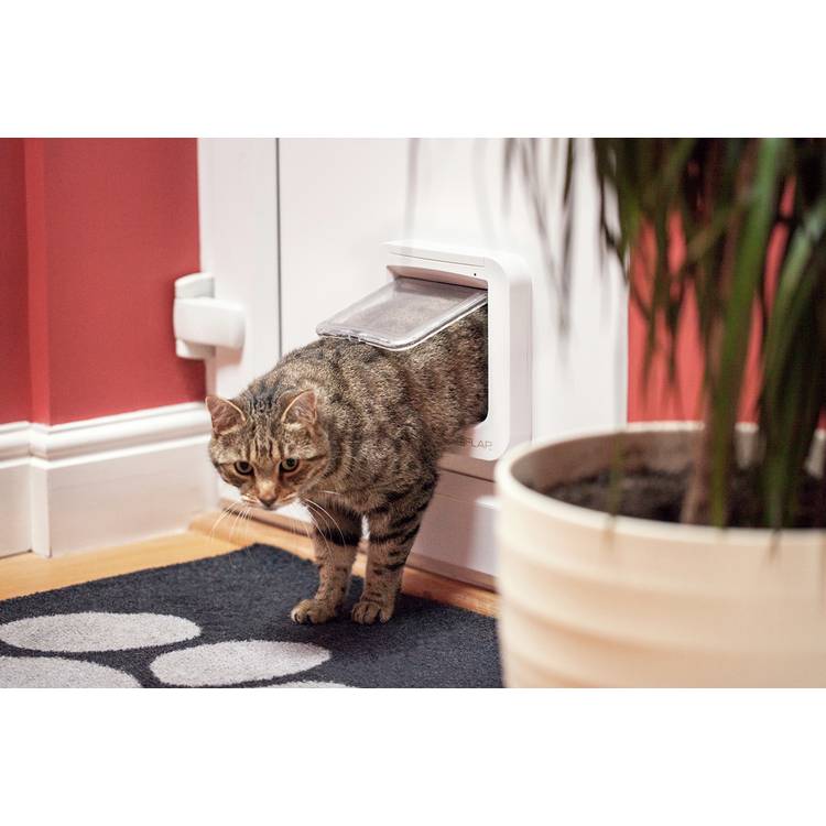 SureFlap microchip cat flap for small medium cats (British brand)