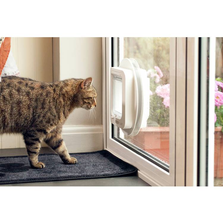 SureFlap microchip cat flap for small medium cats (British brand)