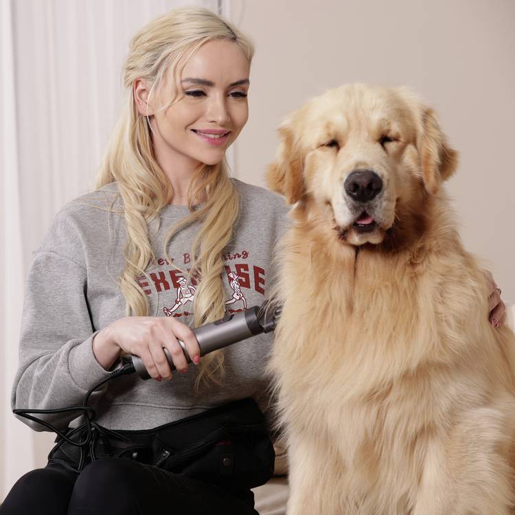 Floof cordless pet hair dryer 20V, UK version