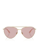 Harrods Jimmy Choo Steel JC4002B Sunglasses- Buy online at McGrocer