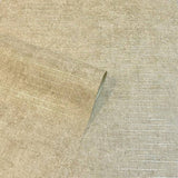Arthouse luxury plain champagne wallpaper roll - British product