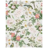 RHS Birdsong N Blooms cream wallpaper 50cm x 10m, UK version