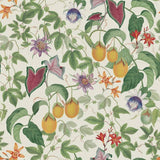 RHS Citrus Vine cream wallpaper (British brand)