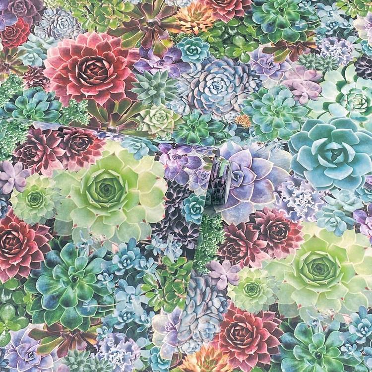 Arthouse succulent living multi wallpaper - British product