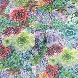 Arthouse succulent living multi wallpaper - British product