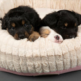 Scruffs donut medium bed 55cm, imported from the UK