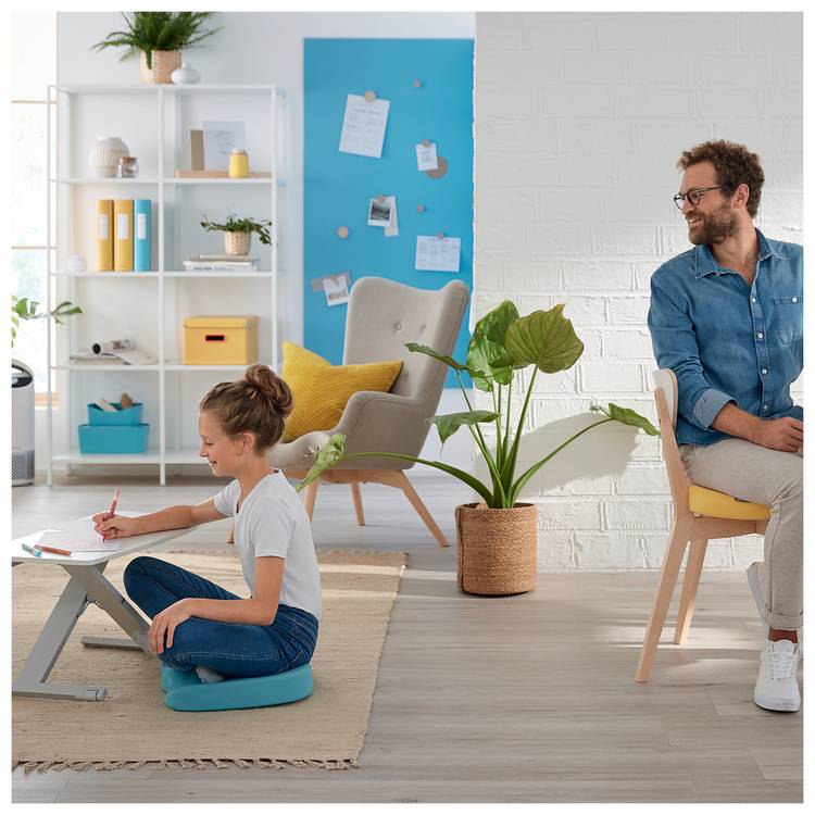 Leitz standing desk converter white compact footprint, UK version