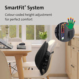 Kensington SmartFit Conform back rest with height adjustment, imported from the UK