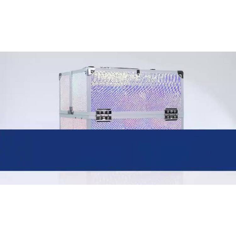 Streetwize iridescent snake design vanity case, UK version
