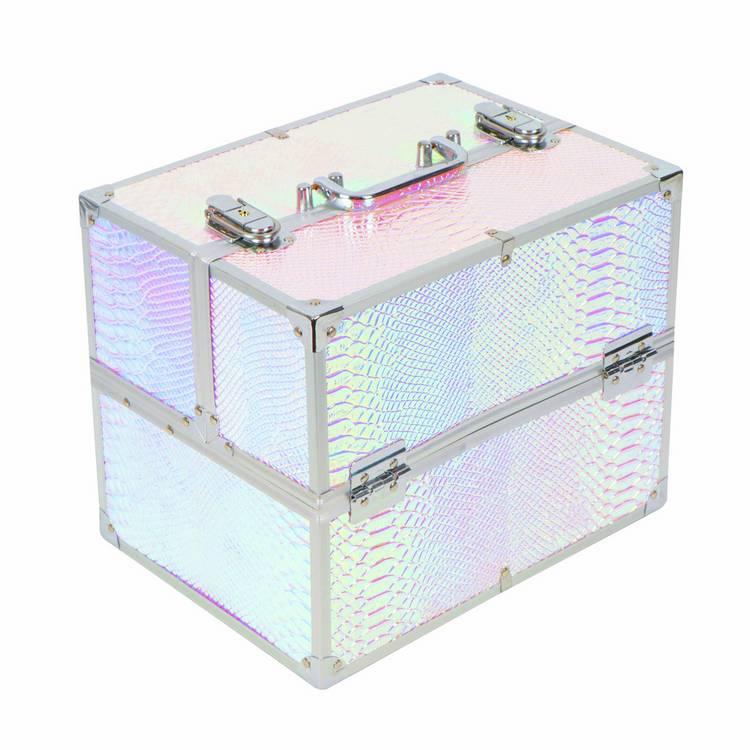Streetwize iridescent snake design vanity case, UK version