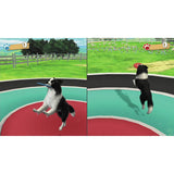 Fun Fun Animal Park Nintendo Switch party game, UK version