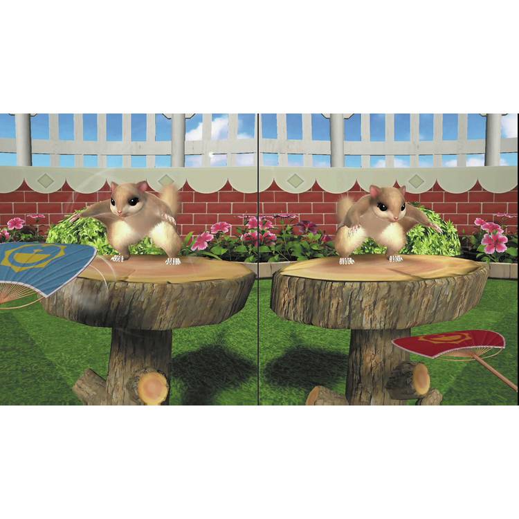 Fun Fun Animal Park Nintendo Switch party game, UK version