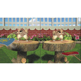 Fun Fun Animal Park Nintendo Switch party game, UK version