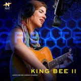 Neat King Bee II wired microphone black, imported from the UK