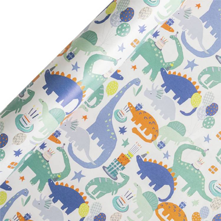 Argos Home dinosaur wrapping paper 10m, UK version