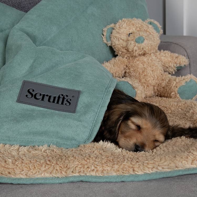 Scruffs Snuggle Blanket sage-green 110x73cm, UK version