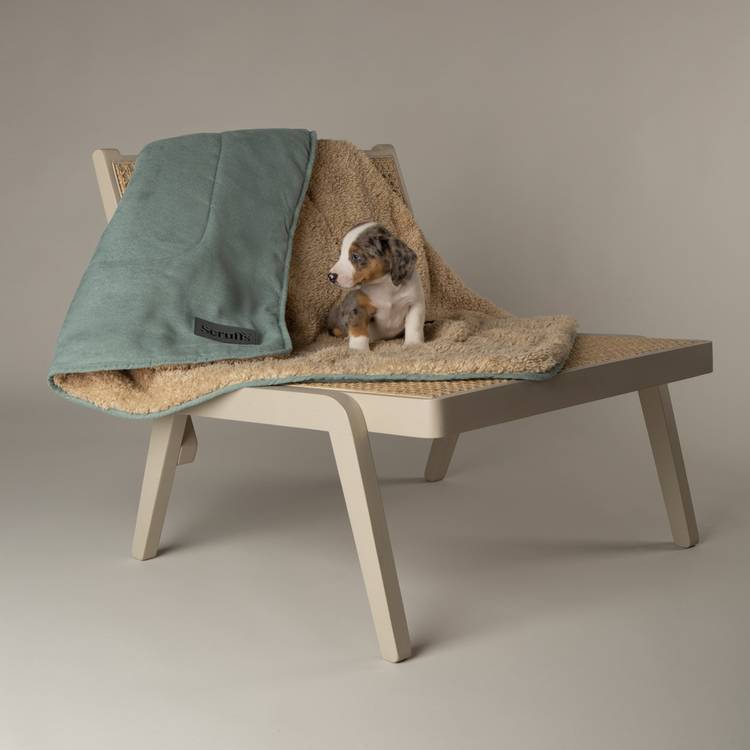 Scruffs Snuggle Blanket sage-green 110x73cm, UK version