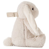 Cloud B Lovelight bunny soother, imported from the UK