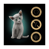 Sheba kitten wet cat food Mixed Selection 85g pouches, imported from the UK