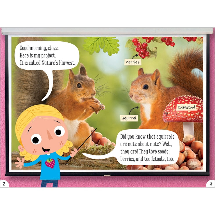 Scholastic 16 readers box set Year 1 Year 2, UK version