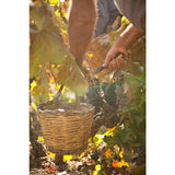 Terra Organica Primitivo   75cl GOODS M&S