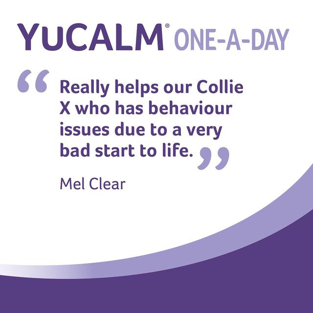 YuMOVE Chewies One a Day Dog Calming Supplement Small Dog 30 per pack GOODS M&S