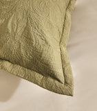 Celso De Lemos Braga cushion cover 30cm x 40cm - British product