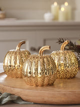 Next Lights4fun Brass Mottled Light Up Glass Pumpkin Trio Decorative LED Lantern Set- Buy online at McGrocer