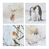 Comic Relief photographic animal Christmas cards 24 pack (British brand)