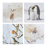 Argos Comic Relief Pack of 24 Photographic Animals Christmas Cards- Buy online at McGrocer