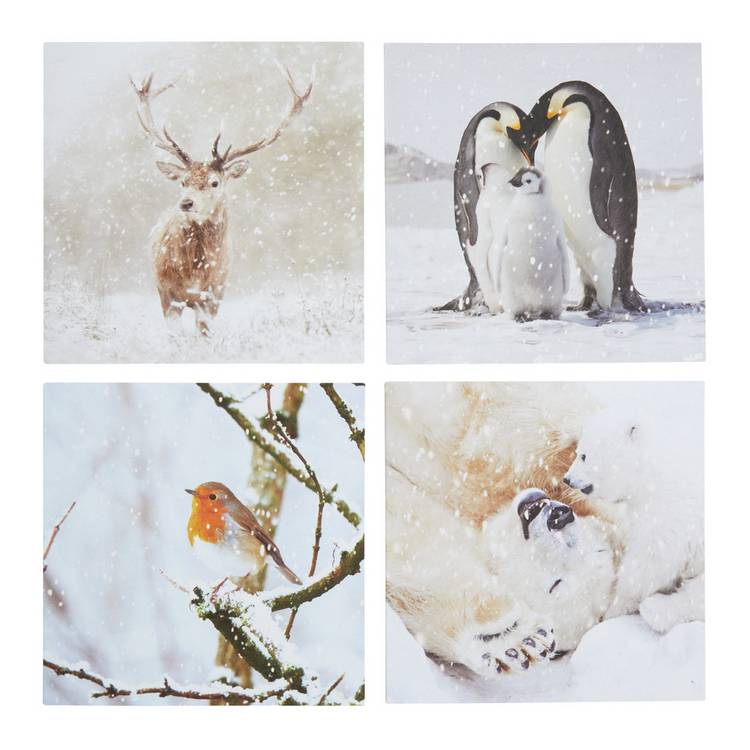Comic Relief photographic animal Christmas cards 24 pack (British brand)