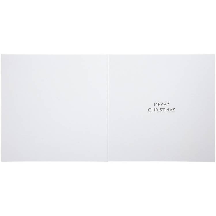 Comic Relief photographic animal Christmas cards 24 pack (British brand)