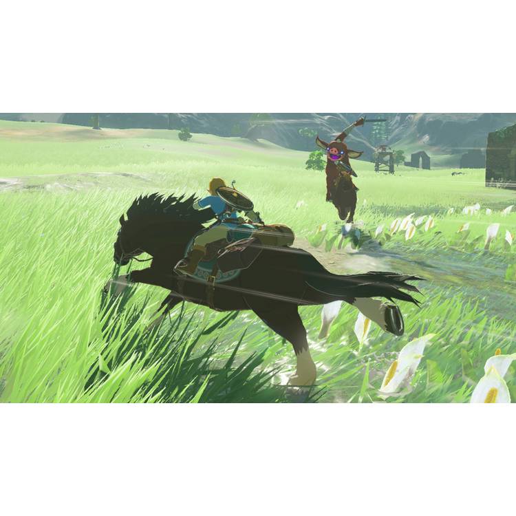 The Legend of Zelda Breath of the Wild Nintendo Switch game (British brand)