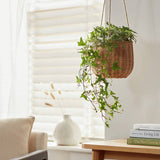 Argos Habitat Rattan Hanging Basket Natural- Buy online at McGrocer