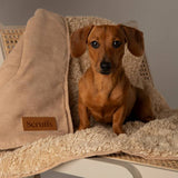 Argos Scruffs Snuggle Blanket Desert Sand Pet Blanket 110x73cm- Buy online at McGrocer